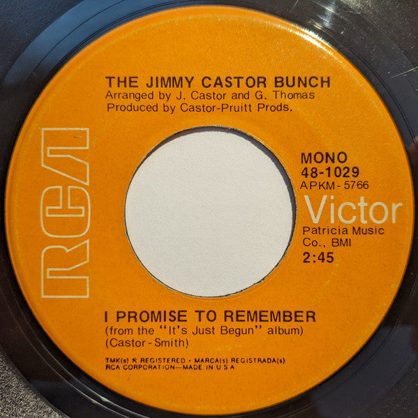 The Jimmy Castor Bunch : Troglodyte (Cave Man) / I Promise To Remember (7", Single, Mono, Ind)