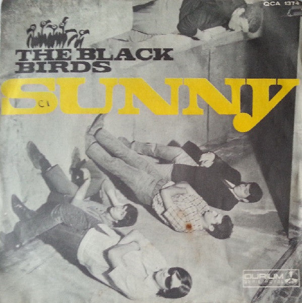 The Black Birds (2) : Sunny (7")