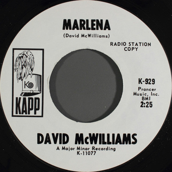 David McWilliams : Who Killed Ezra Brymay (7", Promo)