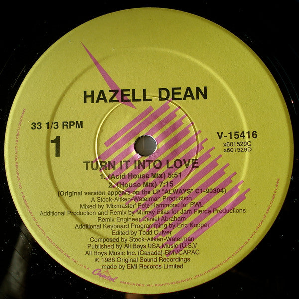 Hazell Dean : Turn It Into Love (12")