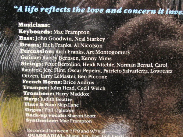 Tim Foley (7) : Now That I've Found You (LP)