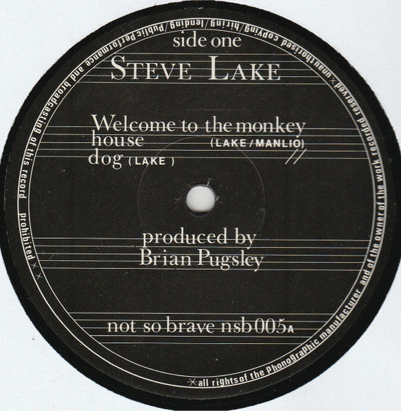 Steve Lake : Welcome To The Monkey House (12")