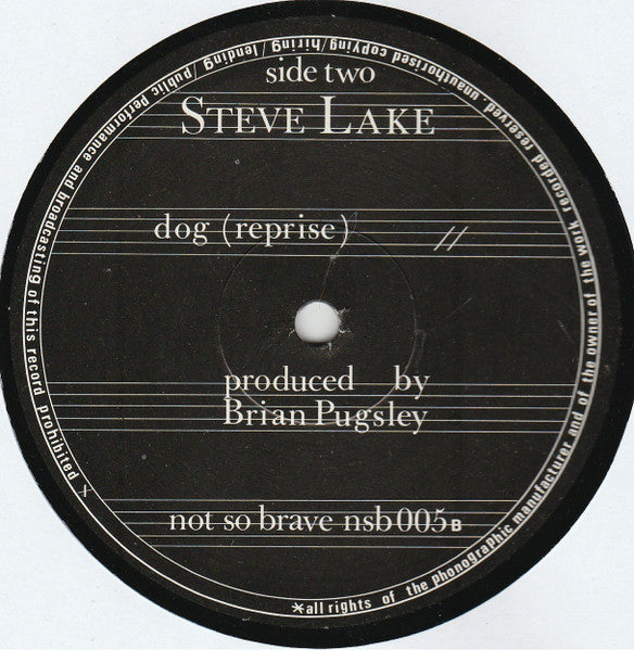 Steve Lake : Welcome To The Monkey House (12")
