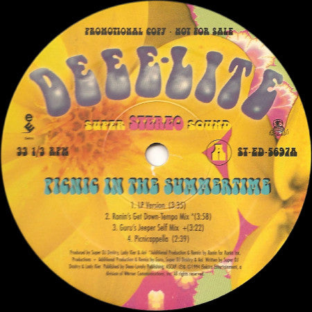 Deee-Lite : Picnic In The Summertime (12", Promo)