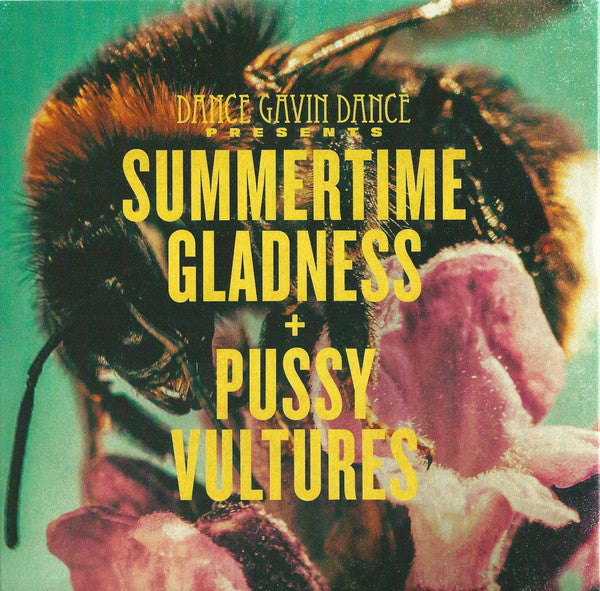 Dance Gavin Dance : Summertime Gladness/Pussy Vultures (7", Ltd, Pin)