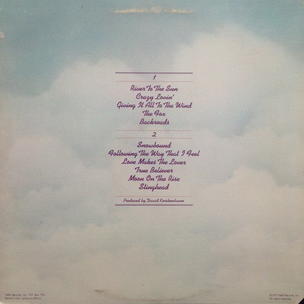 The Ozark Mountain Daredevils : Don't Look Down (LP, Album, Ter)