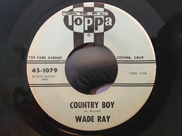 Wade Ray : Have Yourself A Party (7")