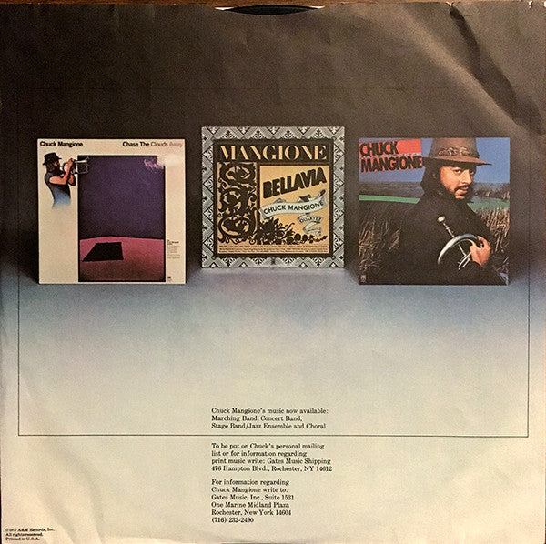 Chuck Mangione : Feels So Good (LP, Album)