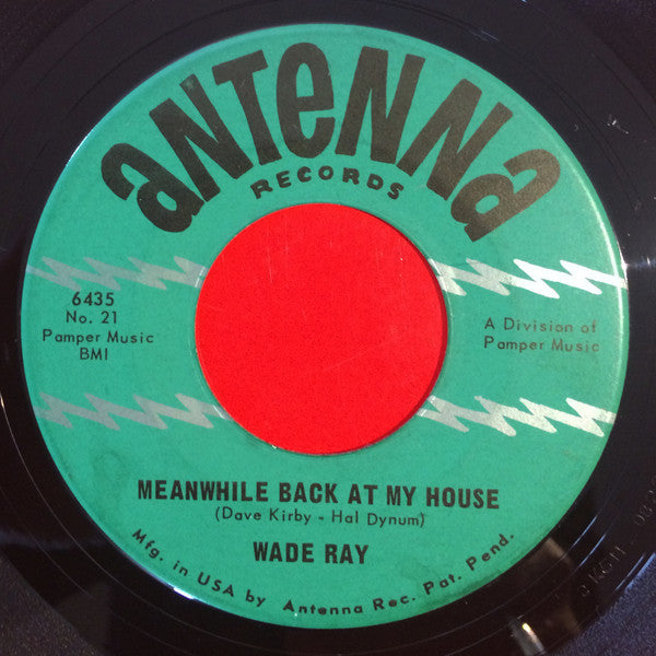 Wade Ray : Tears Don't Stain / Meanwhile Back At My House (7", Single)