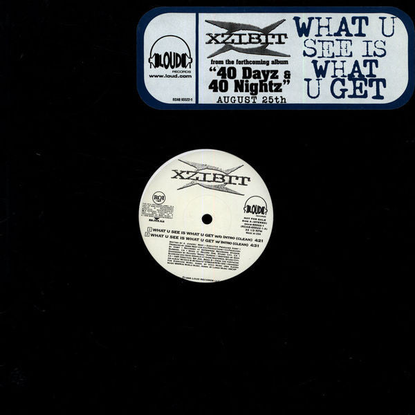 Xzibit : What U See Is What U Get (12", Promo)