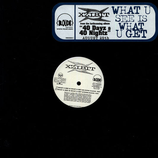 Xzibit : What U See Is What U Get (12", Promo)