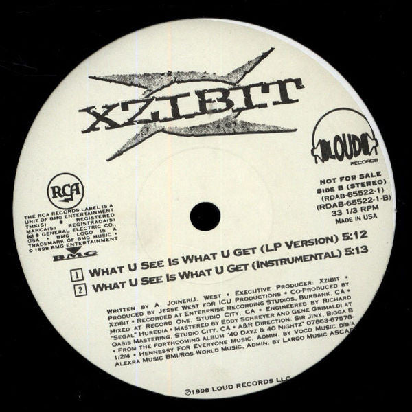 Xzibit : What U See Is What U Get (12", Promo)