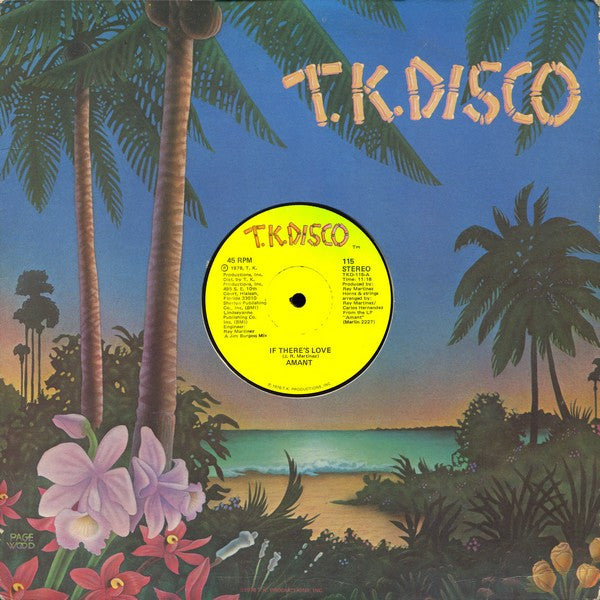 Amant : If There's Love / Hazy Shades Of Love (12")