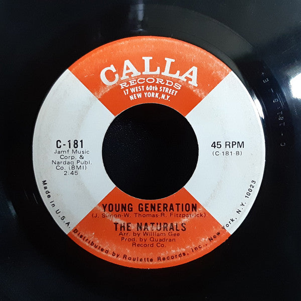 The Naturals (28) : I Can't Share You (7")