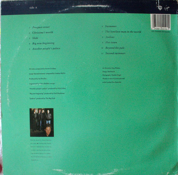 The Big Dish : Swimmer (LP, Album)