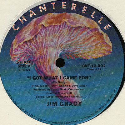 Jim Grady : I Got What I Came For / Touch Dancing (12")