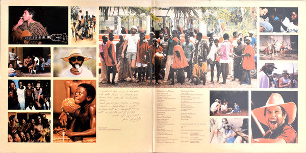 Mick Fleetwood : The Visitor (LP, Album, Ind)