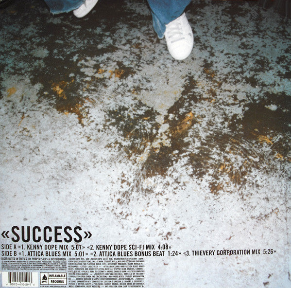 DJ Cam : Success (12")