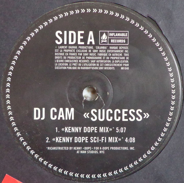 DJ Cam : Success (12")