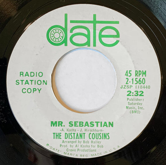 The Distant Cousins : Mr. Sebastian / Empty House (7", Single, Promo)