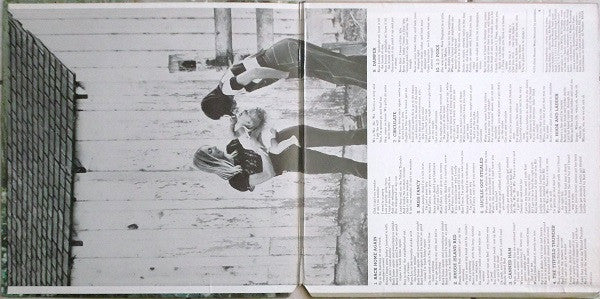 Norman Greenbaum : Back Home Again (LP, Album, Ter)