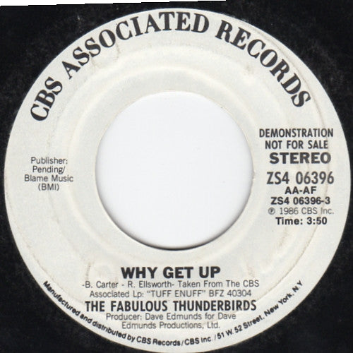 The Fabulous Thunderbirds : Why Get Up (7", Promo)