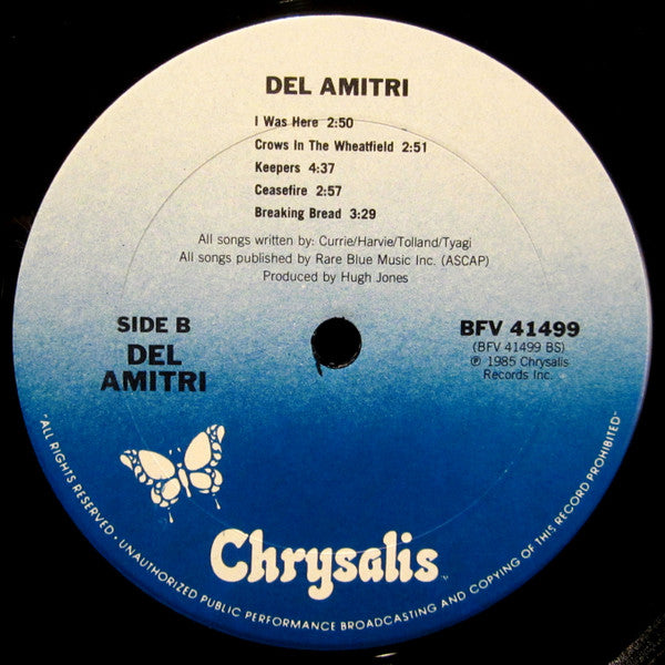 Del Amitri : Del Amitri (LP, Album)