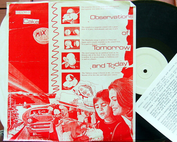 Orange Cake Mix : Observations Of Tomorrow And Today (12", S/Sided, MiniAlbum, RP)