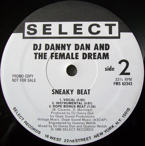 DJ Danny Dan And The Female Dream : The Beat To Get Hype (12", Single, Promo)