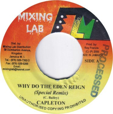 Capleton, Leego : Why Do The Eden Reign (Special Remix) / Wicked E (7")