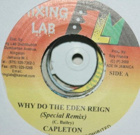 Capleton, Leego : Why Do The Eden Reign (Special Remix) / Wicked E (7")