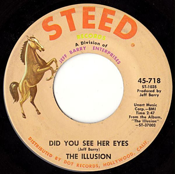 The Illusion : Did You See Her Eyes (7", Single)