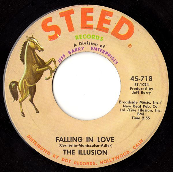 The Illusion : Did You See Her Eyes (7", Single)