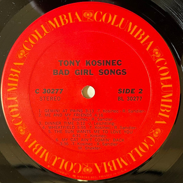 Tony Kosinec : Bad Girl Songs (LP, Album, Pit)