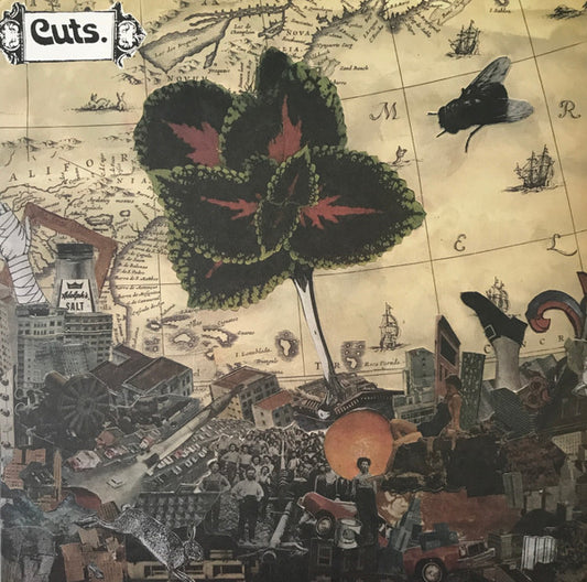 The Cuts (2) : The Cuts (LP, Album)