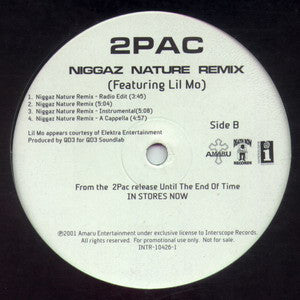 2Pac : Letter 2 My Unborn / Niggaz Nature Remix (12", Promo)