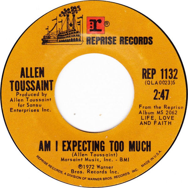 Allen Toussaint : Am I Expecting Too Much (7")