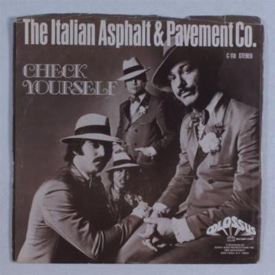 The Italian Asphalt & Pavement Co.* : Check Yourself / The Sky's The Limit (7", Single)