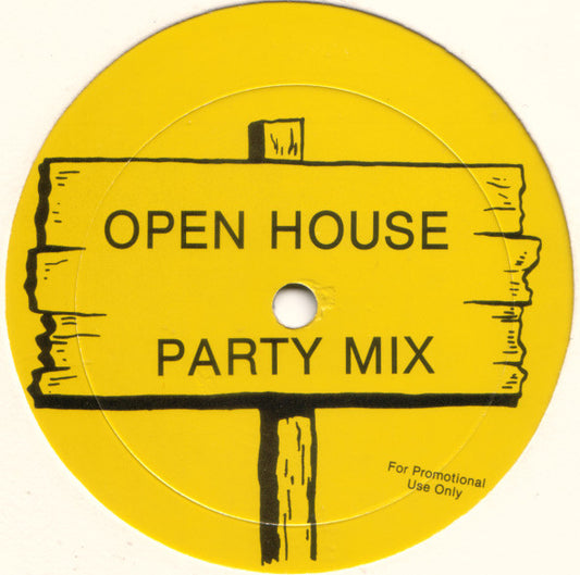 Various : Open House Party Mix (12", Mixed, Promo, Unofficial)