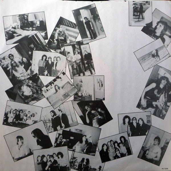 Benny Mardones : Too Much To Lose (LP, Album, Pre)