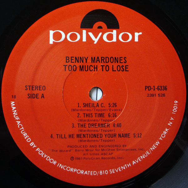 Benny Mardones : Too Much To Lose (LP, Album, Pre)