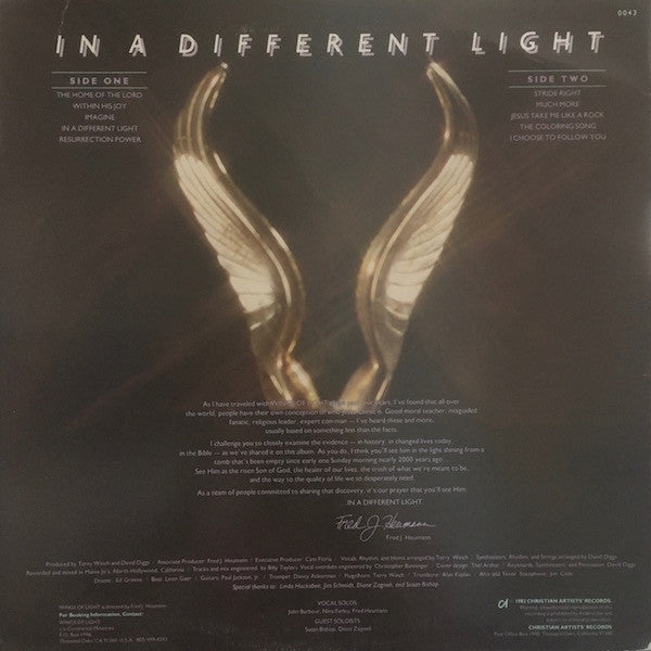 Wings Of Light : In A Different Light (LP, Album)
