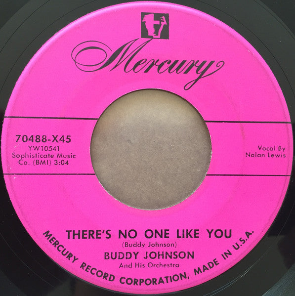 Buddy Johnson And His Orchestra : I Never Had It So Good / There's No One Like You (7", Single)