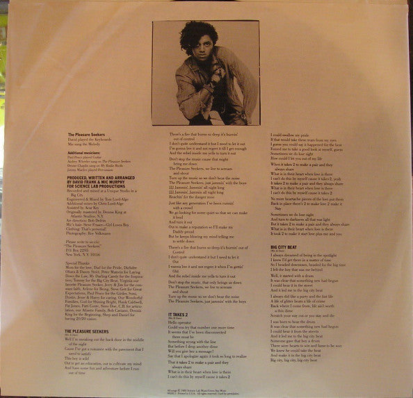 The System : The Pleasure Seekers (LP, Album, Spe)