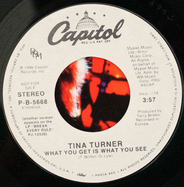 Tina Turner : What You Get Is What You See (7", Promo, Styrene)