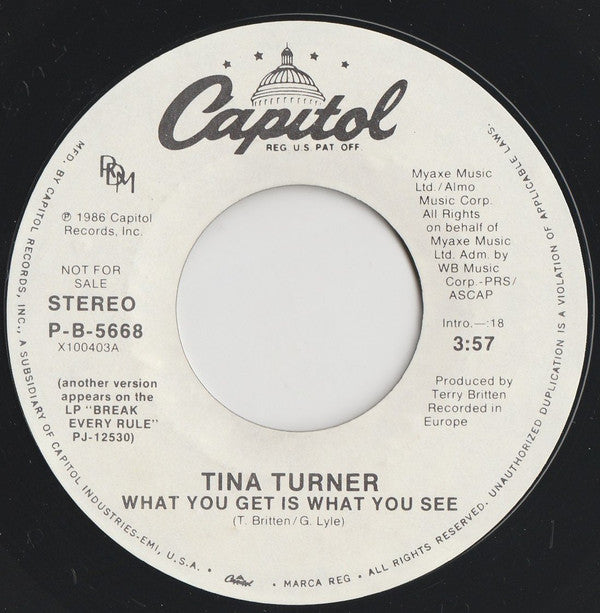 Tina Turner : What You Get Is What You See (7", Promo, Styrene)