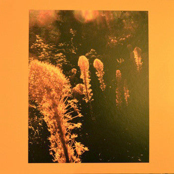 Neptune Skyline : Spring Reverb (LP, Album)
