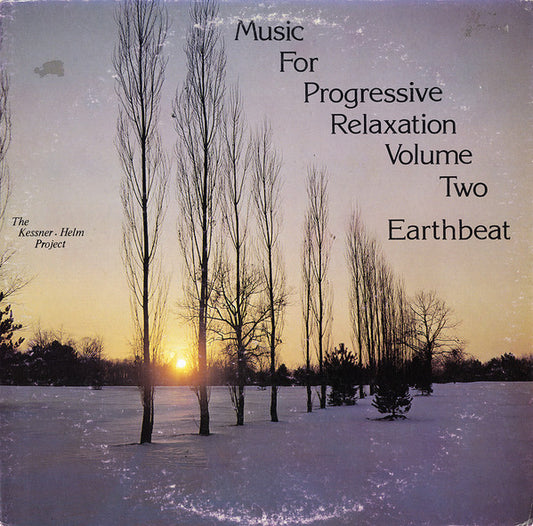 The Kessner - Helm Project : Music For Progressive Relaxation – Volume Two - Earthbeat (LP, Album)