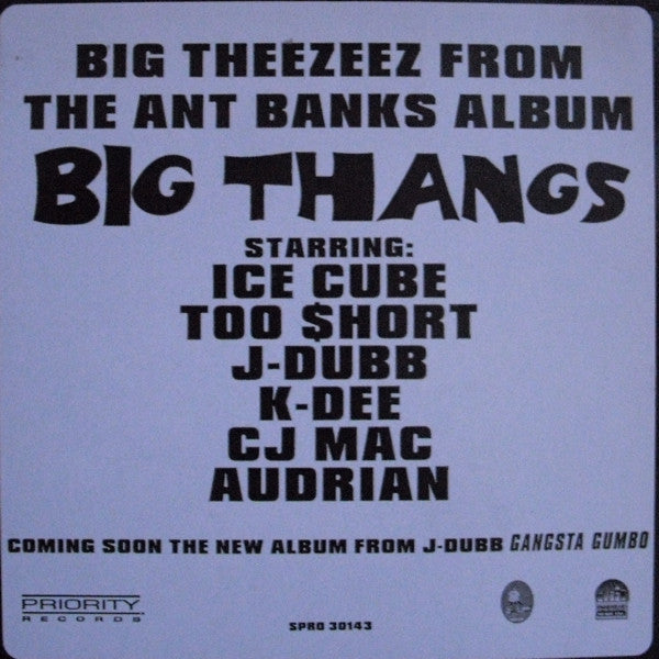 Ant Banks : Big Theezeez From The Ant Banks Album Big Thangs (12", Promo)