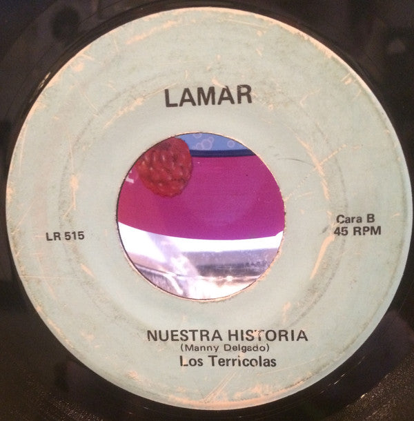 Los Terricolas : Una Carta / Nuestra Historia  (7")